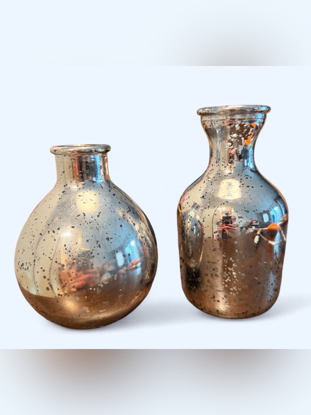 Silver Mercury Glass Decorative Vases - Set of 2